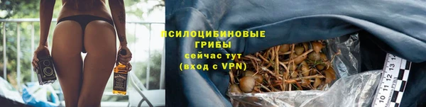 не бодяженный Вяземский