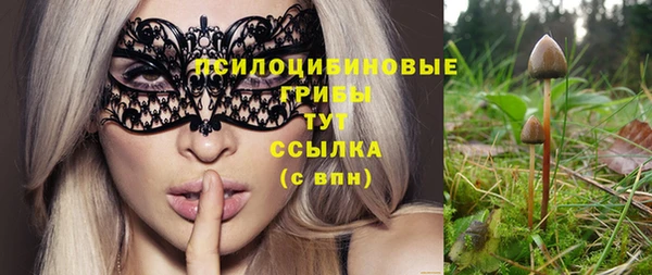 МДМА Кемь