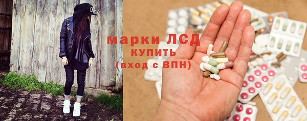 прущие грибы Киселёвск