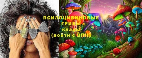 ECSTASY Кедровый