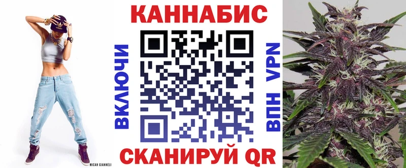 наркотики  Новая Ладога  Бошки марихуана план 